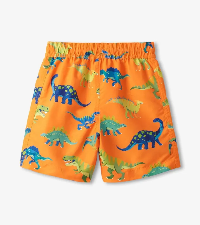 Boys Colourblock Dino Swim Shorts Hatley