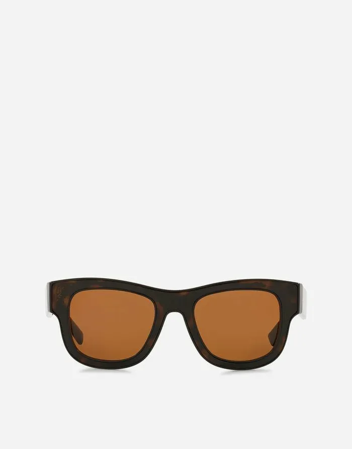 Dolce and Gabbana Icons Men Domenico Deep Sunglasses Havana