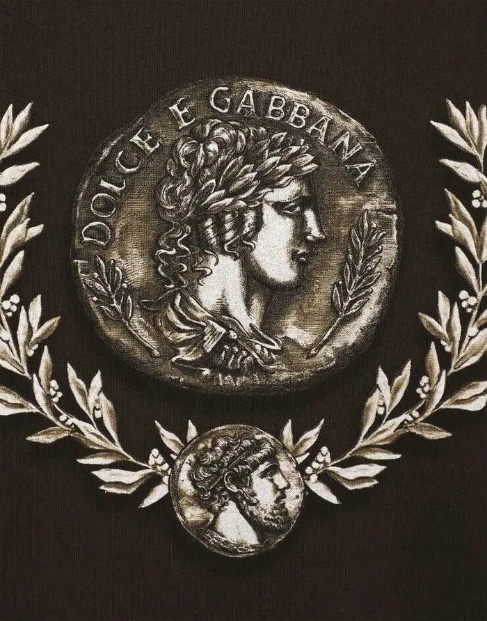 Dolce and Gabbana TShirts And Polos Men Coin And Laurel Print Cotton Tshirt Brown