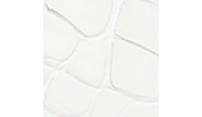 Dress Mules Women Franco Sarto Sarto Visa 2 Mule White Snake Leather