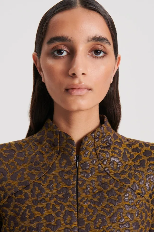 Dresses Women Scanlan Theodore OCELOT TAILORED DRESS Moro