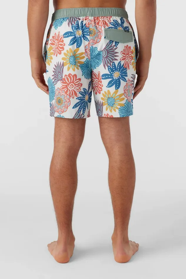 HERMOSA ELASTIC WAIST LINED 17034 SWIM TRUNKS Natural Men O039NEILL Type