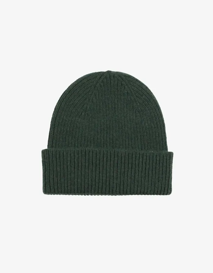 Men Beanies Colorful Standard Merino Wool Beanie Hunter Green