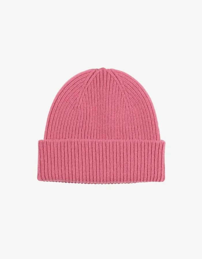 Men Beanies Colorful Standard Merino Wool Beanie Raspberry Pink