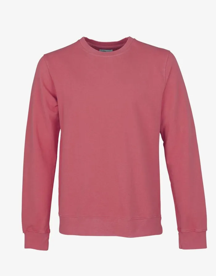 Men Crewneck Sweatshirts Colorful Standard Classic Organic Crew Raspberry Pink Men Crewneck Sweatshirts Colorful Standard Classic Organic Crew Raspberry Pink