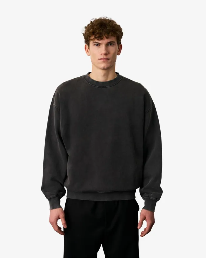 Men Crewneck Sweatshirts Colorful Standard Organic Oversized Crew Purple Haze