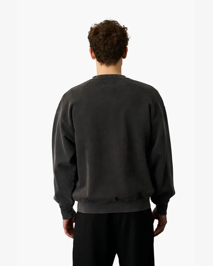 Men Crewneck Sweatshirts Colorful Standard Organic Oversized Crew Purple Haze