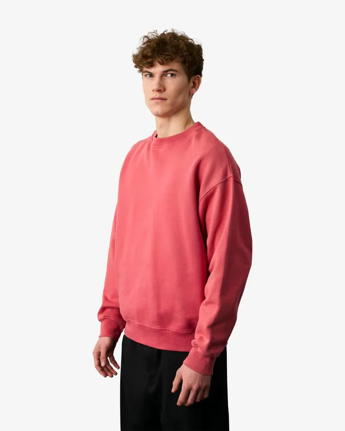 Men Crewneck Sweatshirts Colorful Standard Organic Oversized Crew Sunny Orange