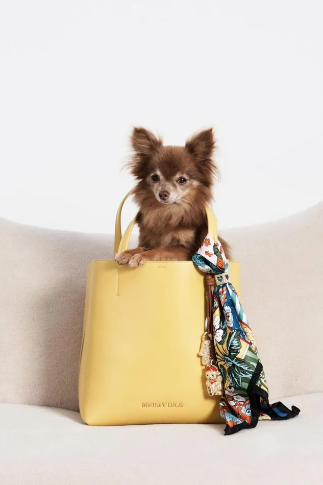 Small Yellow Leather Chihuahua Bag Yellow Women Bimba Y Lola Chihuahua Bags