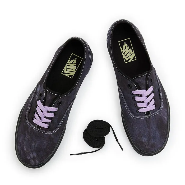 Vans Lowtop Shoes Men Authentic Shoes Black