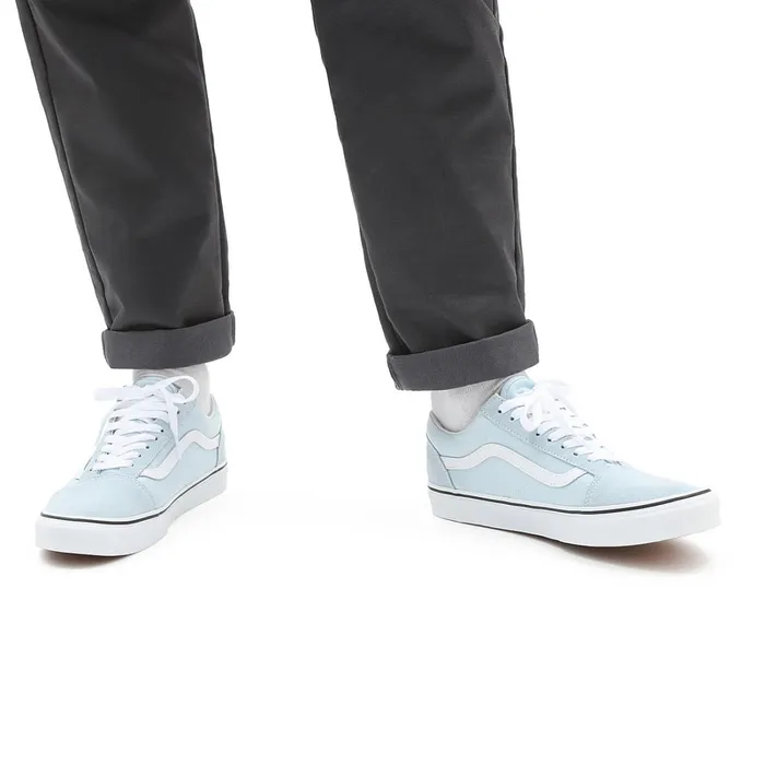Vans Lowtop Shoes Men Old Skool Shoes Blue