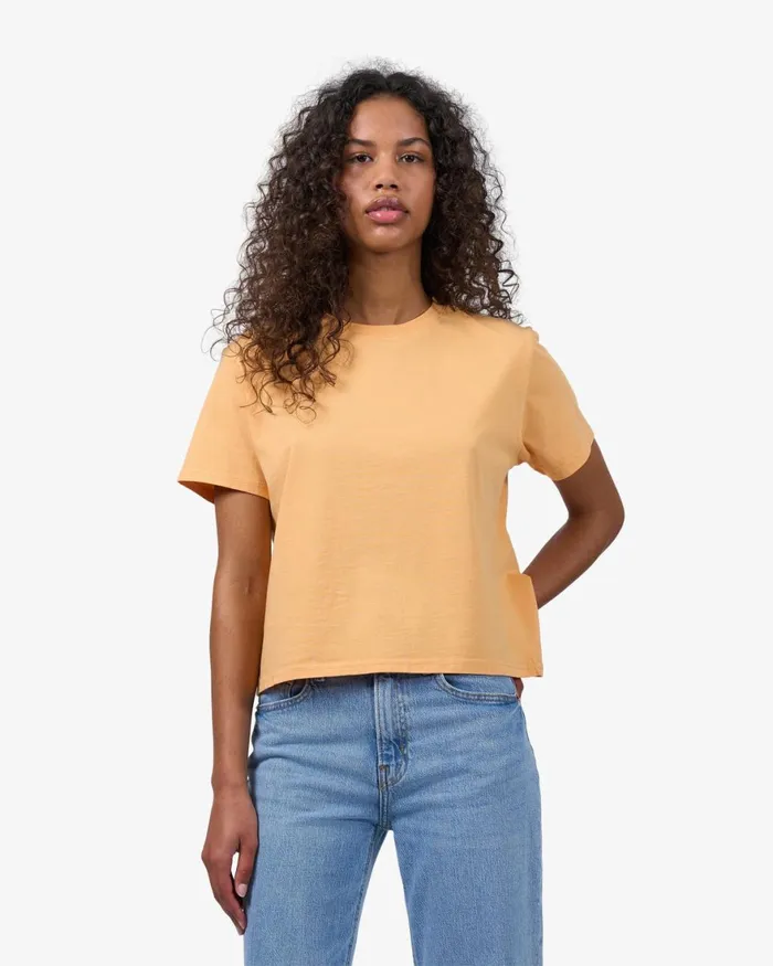 Women TShirts Colorful Standard Organic Boxy Crop Tee Lava Grey